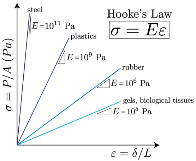 strain-stress-materials